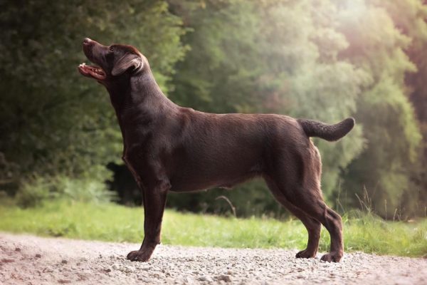 194350501_5862021543822998_4208906090906351784_n